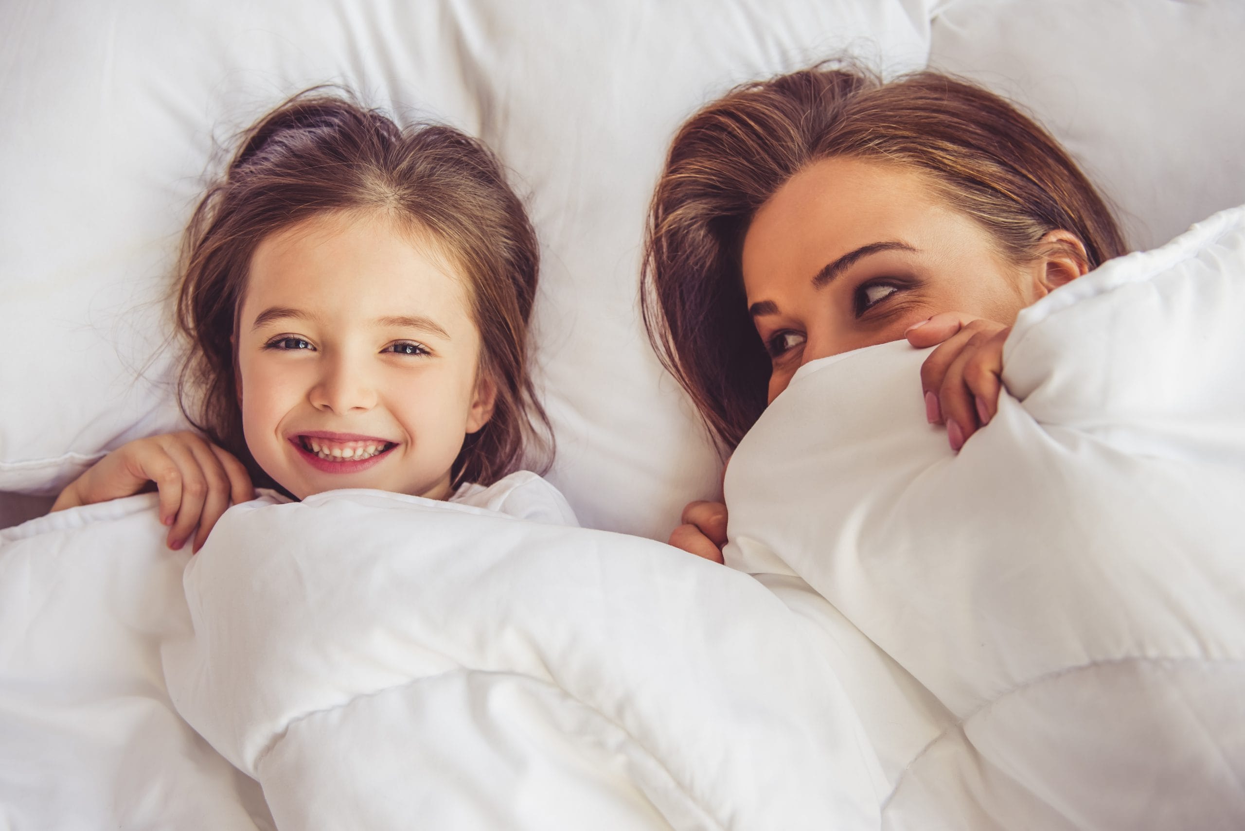 Denver Bed Bug Removal | Thermal Clean LLC