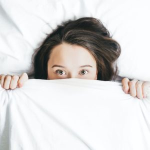 thornton bed bug exterminators bed bug removal thermal clean heat treatment