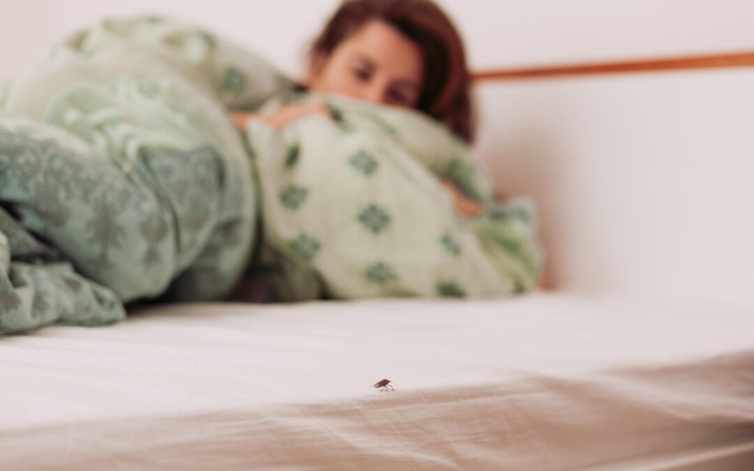 bed bug symptoms