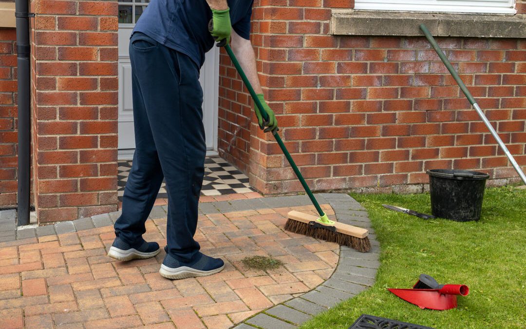 Spring Cleaning? Don't Forget to Check for Bed Bugs!