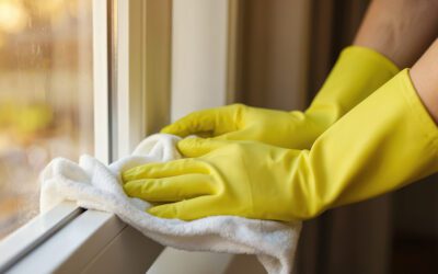 DIY Pest Control Isn’t Always Cheaper—Here’s Why