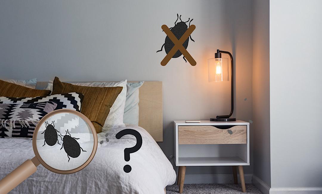 bed bug heat treatment electronics safety