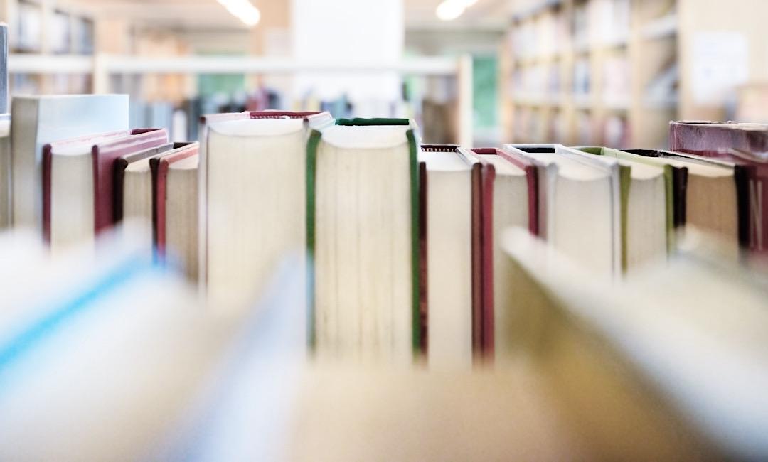 Bed Bugs in Libraries: A Discreet, Step-by-Step Protocol for Denver Facilities